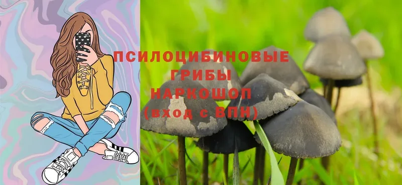 Галлюциногенные грибы MAGIC MUSHROOMS  Колпашево 